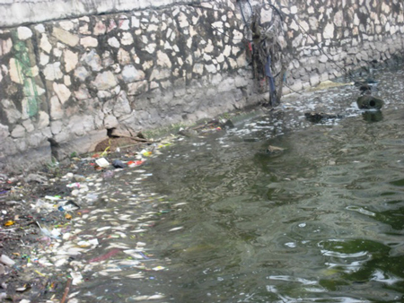 Tình[-]trạng[-]ô[-]nhiễm[-]nghiêm[-]trọng[-]ở[-]Hồ[-]Tây.